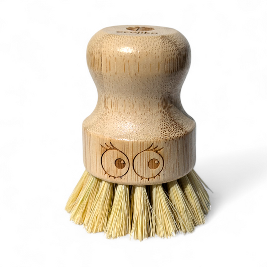 Glam Pot Scrubbing Brush with Eyes