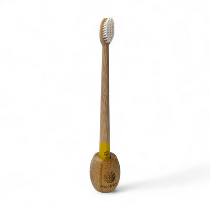 Bamboo Toothbrush Stand | Sustainable Bamboo Toothbrush Holder