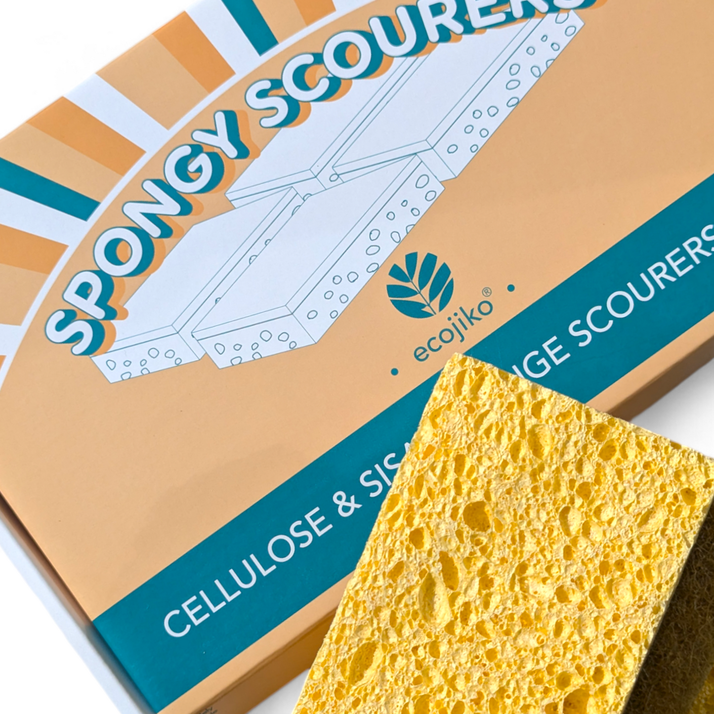 box of cellulose and sisal sponge scourers